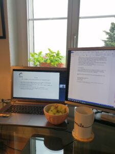 Laptop und Bildschirm mit Tee und Trauben vor dem Fenster